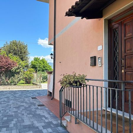 Albi'S House,Terrazza ,Wi-Fi, Parcheggio, Ac Apartamento Lucca Exterior foto