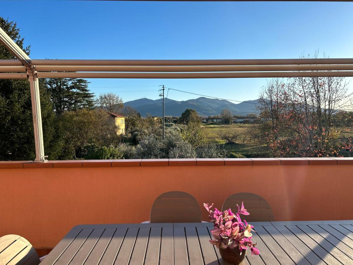 Albi'S House,Terrazza ,Wi-Fi, Parcheggio, Ac Apartamento Lucca Exterior foto